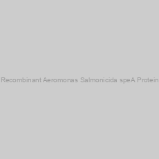 Image of Recombinant Aeromonas Salmonicida speA Protein